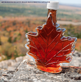 Maple Syrup