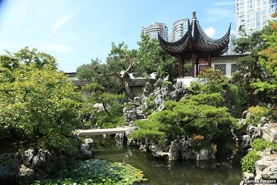 Chinese Garden