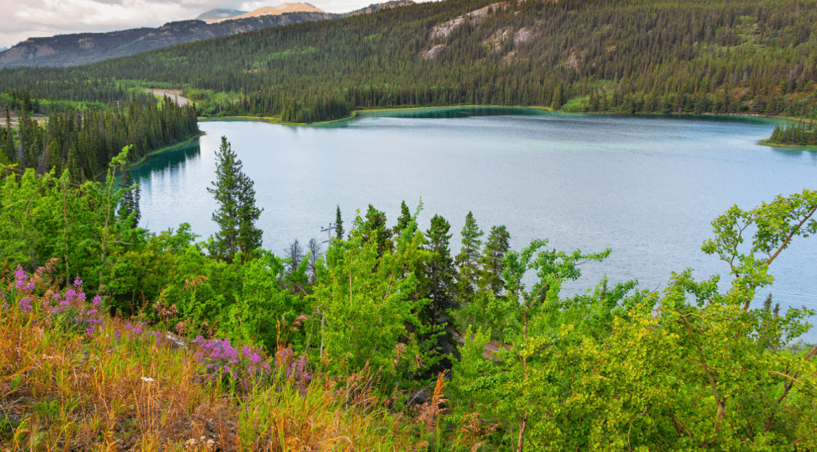 Yukon