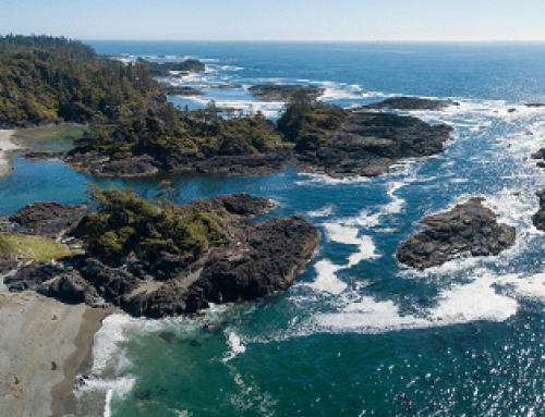 O que fazer em Tofino?