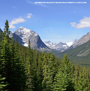 Tonquin Park