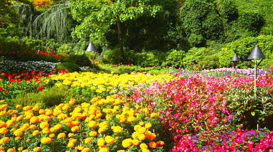 Jardins de Butchart no Canadá 