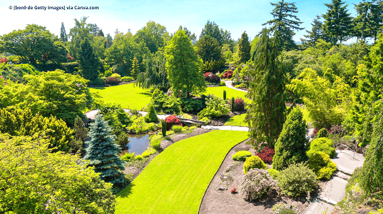 Queen Elizabeth Park Vancouver