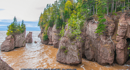 Parque Nacional Fundy Canadá