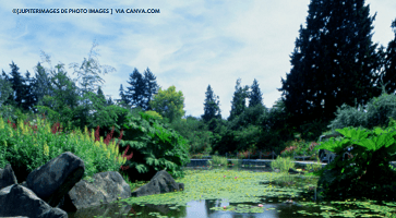 VanDusen Botanical Garden